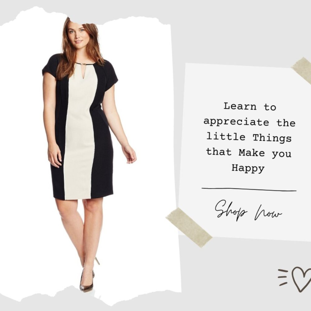 NWOT  - "Flattering Style: A-Line Color Block Dress in Black and Tan"